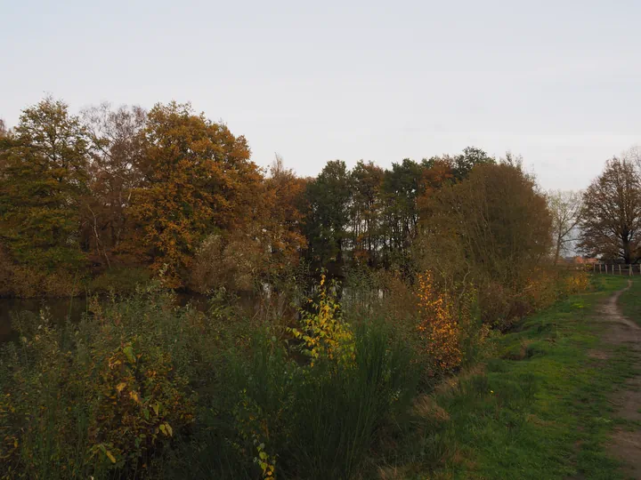 Haasdonk (België)